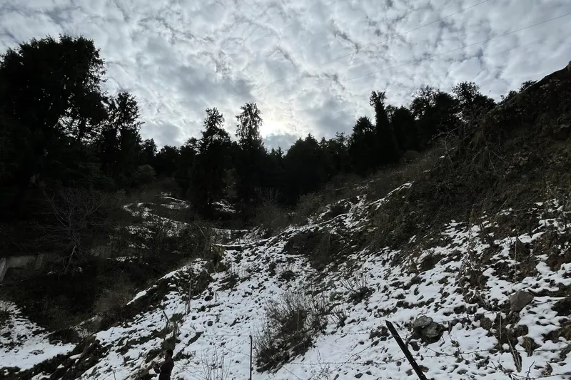 Area photo near Near Chail (Sheel), not the project (Snow at Chail by Slyronit, CC BY-SA 4.0, via Wikimedia Commons)