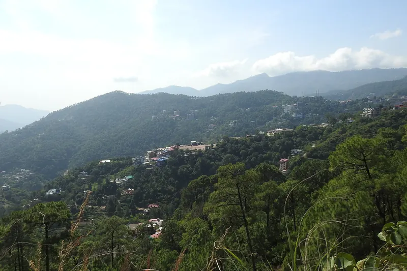 Area photo near Shangli Khurd, Kasauli side, not the project (Dharampur, district Solan,Himachal Pradesh by Harvinder Chandigarh, CC0, via Wikimedia Commons)