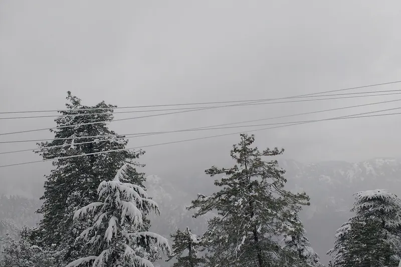 Area photo near Mashobra, Shimla, not the project (Mashobra, shimla 02 by Kuma sumit, CC BY-SA 4.0, via Wikimedia Commons)